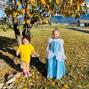 Custom made Cinderella Costume